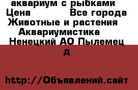 аквариум с рыбками › Цена ­ 1 000 - Все города Животные и растения » Аквариумистика   . Ненецкий АО,Пылемец д.